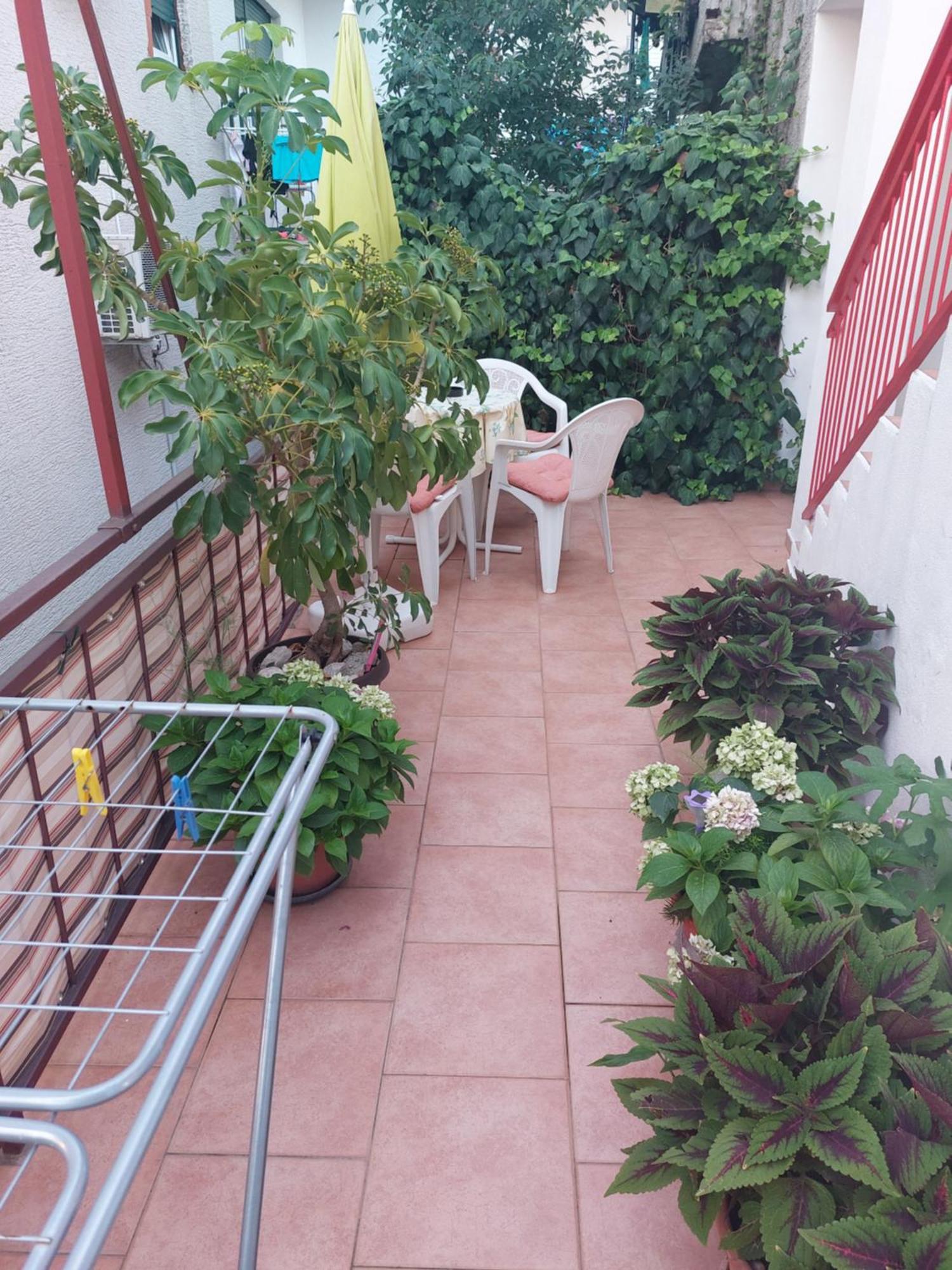 Vila Magdalena Makarska Zewnętrze zdjęcie